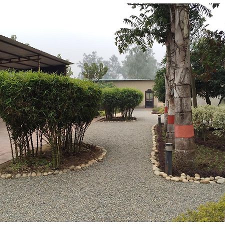 Dr. Sudha'S Ayurveda Muzaffarnagar Exterior photo